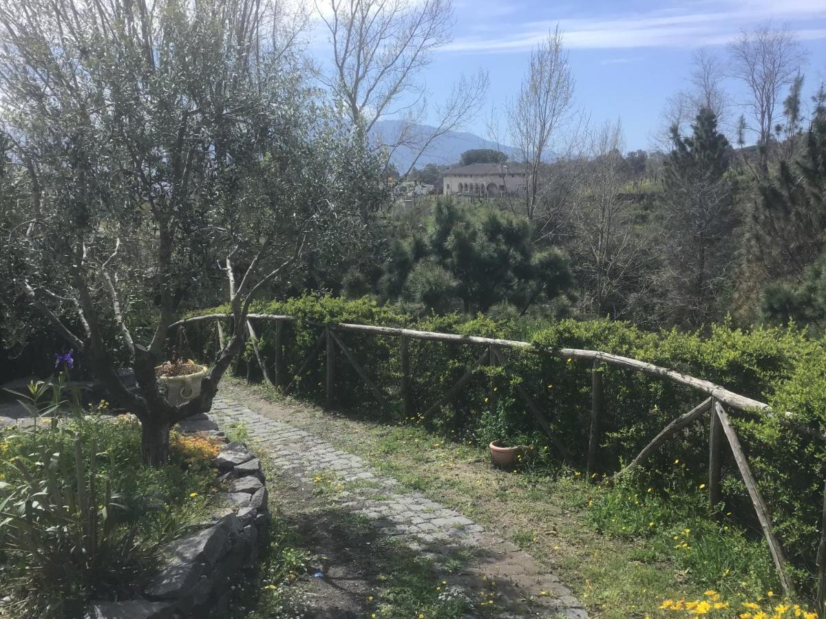 Tenuta Terradifuoco Terzigno Exterior foto